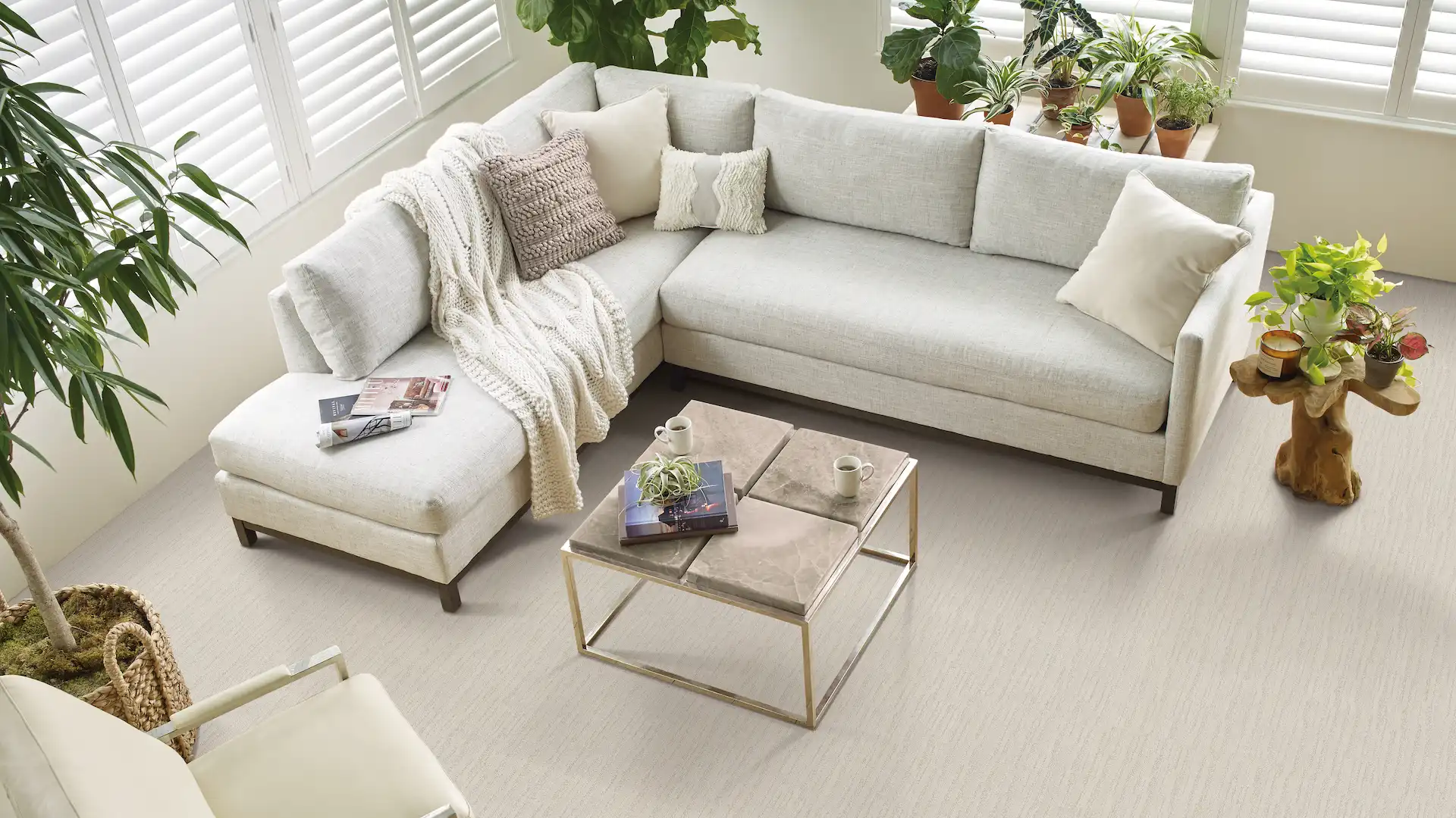 Fondant-by-design-distinctions-carpet